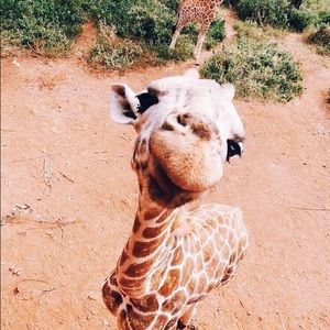 Meet your Posher, Julia